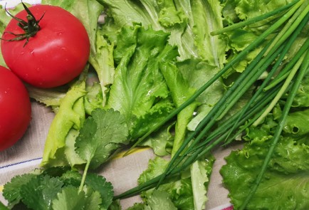 Фото шага рецепта Салат с бурратой 188778 шаг 1  