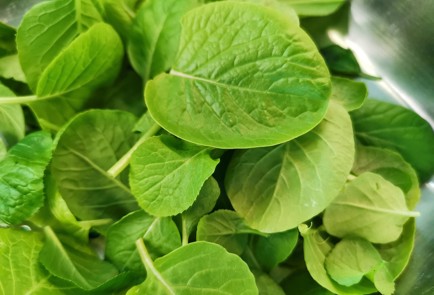 Фото шага рецепта Салат с черкесским сыром и свежей горчицей 151219 шаг 2