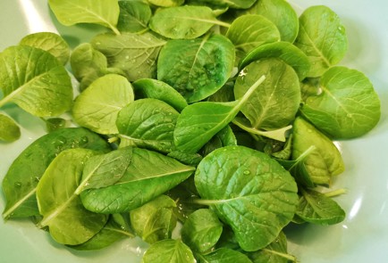 Фото шага рецепта Салат с черкесским сыром и свежей горчицей 151219 шаг 3