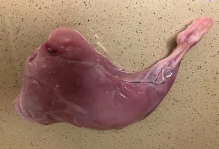 Фото шага рецепта Салат с кроликом и авокадо 188015 шаг 1  