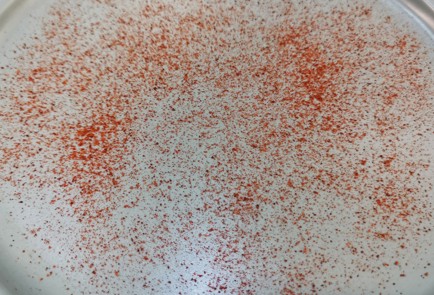 Фото шага рецепта Салат с кукурузой и сухариками 175192 шаг 9  