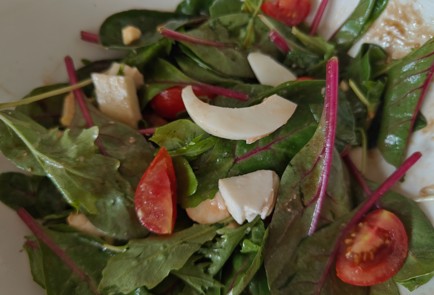 Фото шага рецепта Салат с помидорами черри и моцареллой 186703 шаг 9  