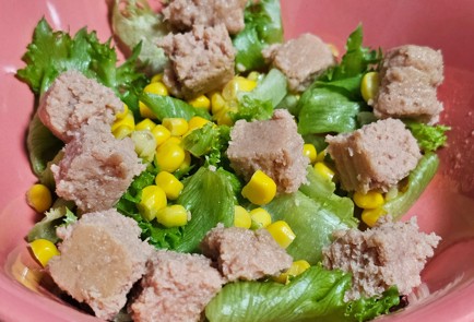 Фото шага рецепта Салат с тунцом 188683 шаг 5  