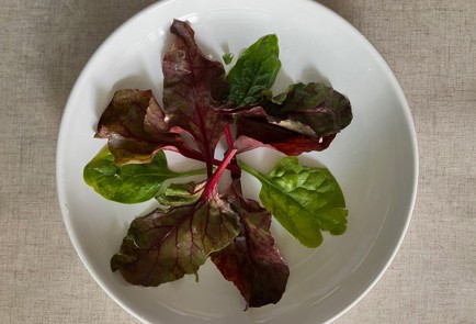 Фото шага рецепта Салат с уткой с тимьяном 189740 шаг 8  