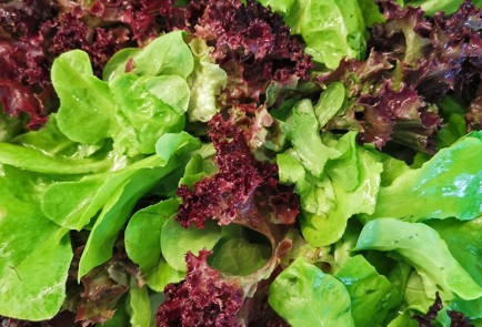 Фото шага рецепта Салат в нежном соусе из грибов шимеджи 151364 шаг 3  