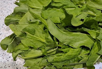 Фото шага рецепта Щавель на зиму без стерилизации 190335 шаг 2  