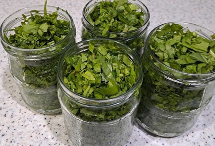 Фото шага рецепта Щавель на зиму без стерилизации 190335 шаг 8  