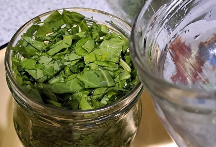 Фото шага рецепта Щавель на зиму без стерилизации 190335 шаг 9  