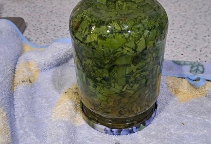 Фото шага рецепта Щавель на зиму 190336 шаг 10  