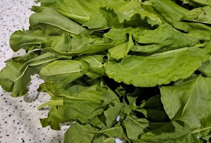 Фото шага рецепта Щавель на зиму 190336 шаг 2  