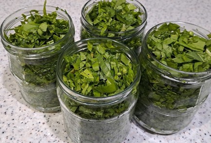 Фото шага рецепта Щавель на зиму 190336 шаг 7  