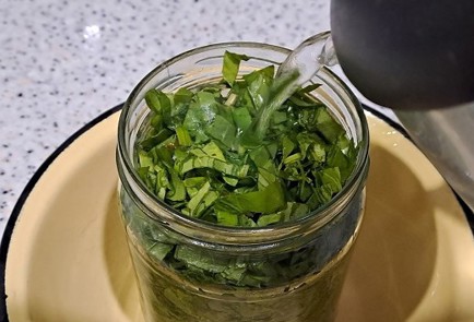 Фото шага рецепта Щавель на зиму 190336 шаг 8  