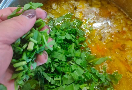 Фото шага рецепта Щавелевые щи зеленый борщ 176360 шаг 15  