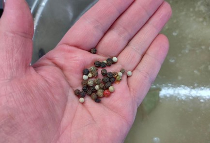 Фото шага рецепта Щавелевые щи зеленый борщ 176360 шаг 5  