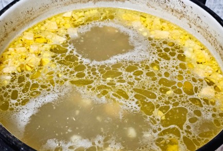 Фото шага рецепта Щавелевый суп из утки 189390 шаг 9  