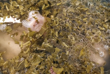 Фото шага рецепта Щи из индейки 174450 шаг 5  