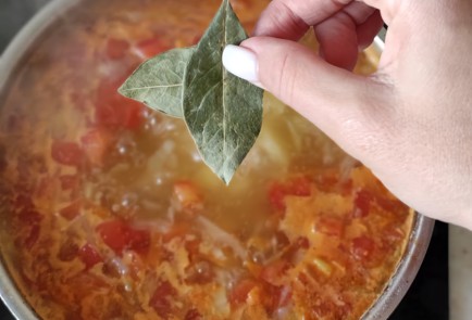 Фото шага рецепта Щи из свежей капусты 174627 шаг 10  