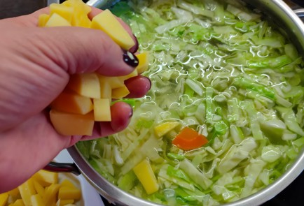 Фото шага рецепта Щи куриные с грибами 174951 шаг 16  