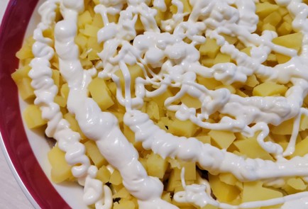 Фото шага рецепта Селедка под шубой 175377 шаг 9  