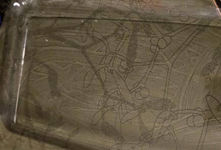 Фото шага рецепта Шампиньоны в духовке с тунцом 190653 шаг 8