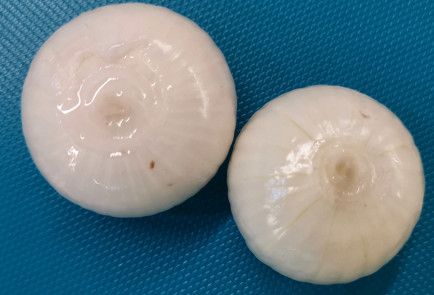 Фото шага рецепта Шашлычки из свиных щек и вырезки 151515 шаг 10  