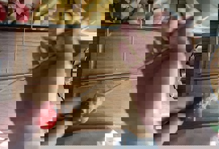 Фото шага рецепта Шашлычки на шпажках 190863 шаг 10