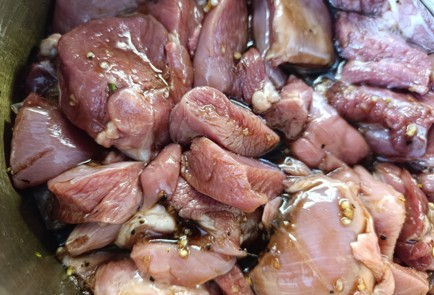 Фото шага рецепта Шашлык из индейки в соевочесночном соусе 190611 шаг 10