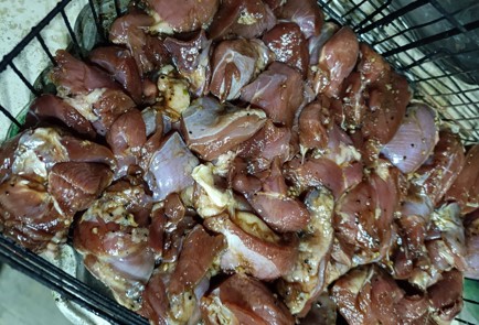 Фото шага рецепта Шашлык из индейки в соевочесночном соусе 190611 шаг 11