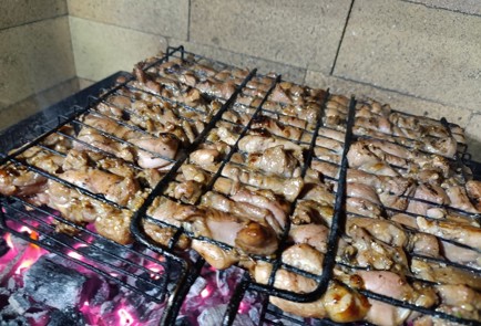 Фото шага рецепта Шашлык из индейки в соевочесночном соусе 190611 шаг 12