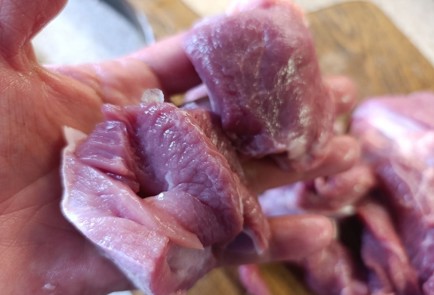 Фото шага рецепта Шашлык из индейки в соевочесночном соусе 190611 шаг 8