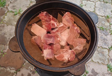 Фото шага рецепта Шурпа на костре 189300 шаг 3  