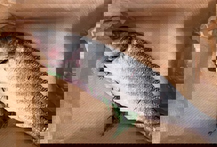 Фото шага рецепта Сибас с цветной капустой запеченный в духовке 140708 шаг 1  