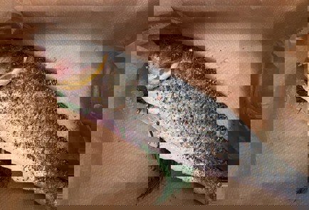 Фото шага рецепта Сибас с цветной капустой запеченный в духовке 140708 шаг 2  