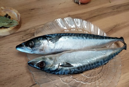 Фото шага рецепта Скумбрия пряного посола 188578 шаг 1  