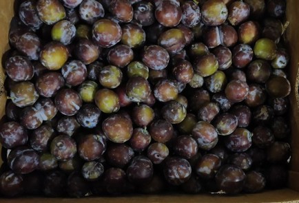 Фото шага рецепта Сливовый соус с зеленью как ткемали 174221 шаг 1  