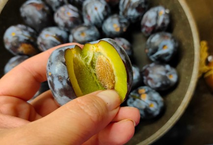 Фото шага рецепта Сливы запеченные с чесноком и розмарином 174413 шаг 2  