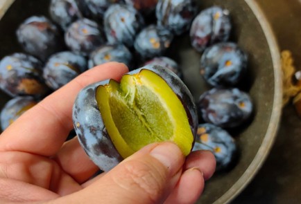 Фото шага рецепта Сливы запеченные с чесноком и розмарином 174413 шаг 3  