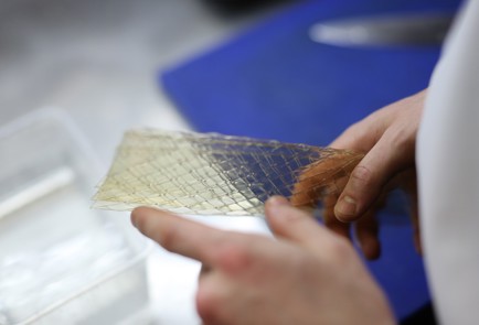 Фото шага рецепта Слоеное заливное из рыбы 137976 шаг 3  