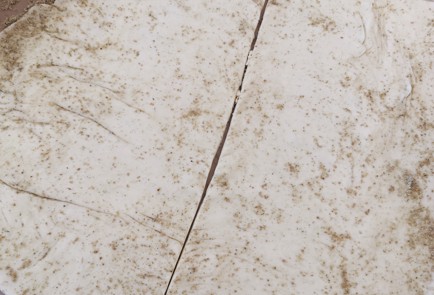 Фото шага рецепта Слойки с ветчиной и двумя видами сыра 151221 шаг 7  