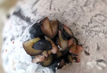 Фото шага рецепта Смузи из голубики 173592 шаг 4  