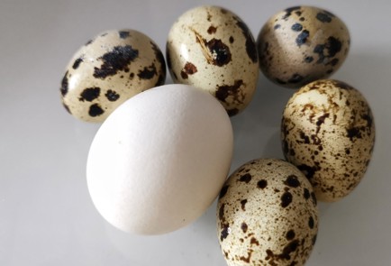 Фото шага рецепта Сочинский салат с маринованными огурцами 152342 шаг 5  