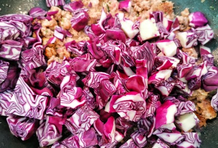 Фото шага рецепта Солянка из краснокочанной капусты с фаршем 152592 шаг 4  