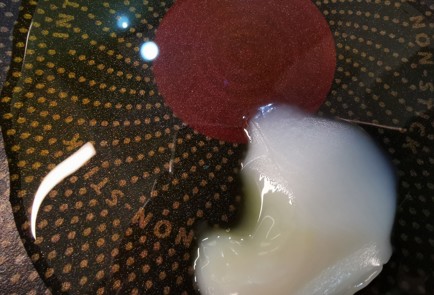 Фото шага рецепта Солянка с болгарским перцем 175617 шаг 4  