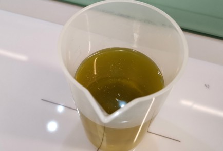 Фото шага рецепта Соус айоли 173429 шаг 6  