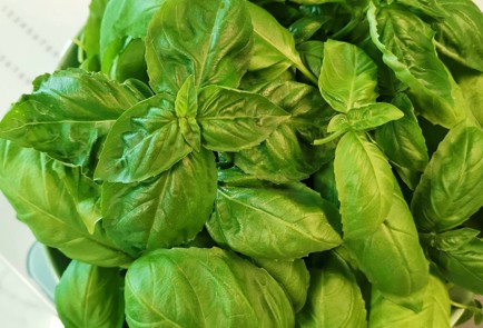 Фото шага рецепта Соус песто из трех видов орехов 151375 шаг 2  