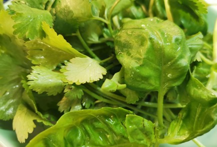 Фото шага рецепта Соус песто 189918 шаг 1  