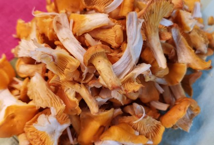 Фото шага рецепта Спагетти ширатаки с лисичками 174738 шаг 2  