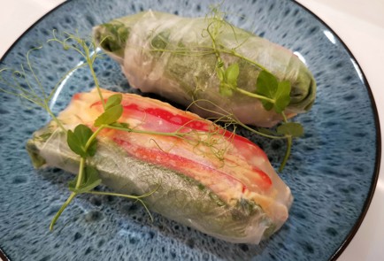 Фото шага рецепта Спрингроллы с курицей 188890 шаг 10  