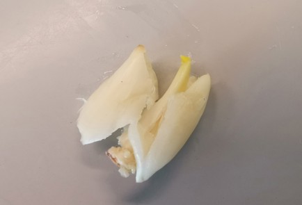 Фото шага рецепта Стейк мачете 189932 шаг 2  