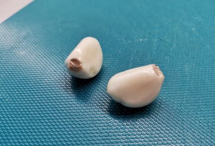 Фото шага рецепта Суппюре из тыквы с карри 140312 шаг 4  